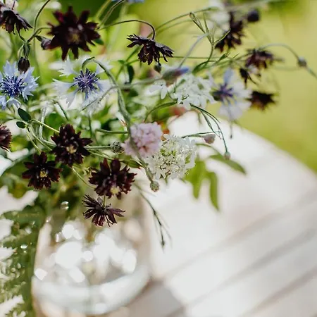 Halfhouse Casa de Férias