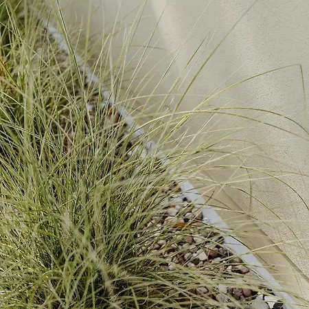 Casa de Férias Halfhouse *